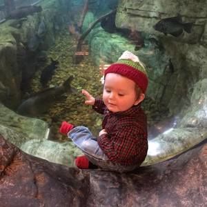 Meet your Posher, Greg